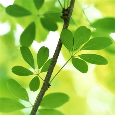 战神风云4399版下载